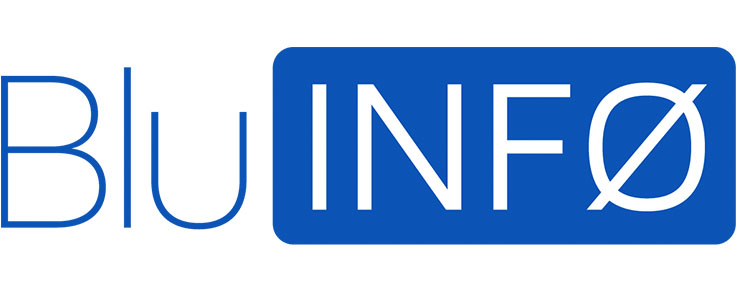 BluINFO Branding