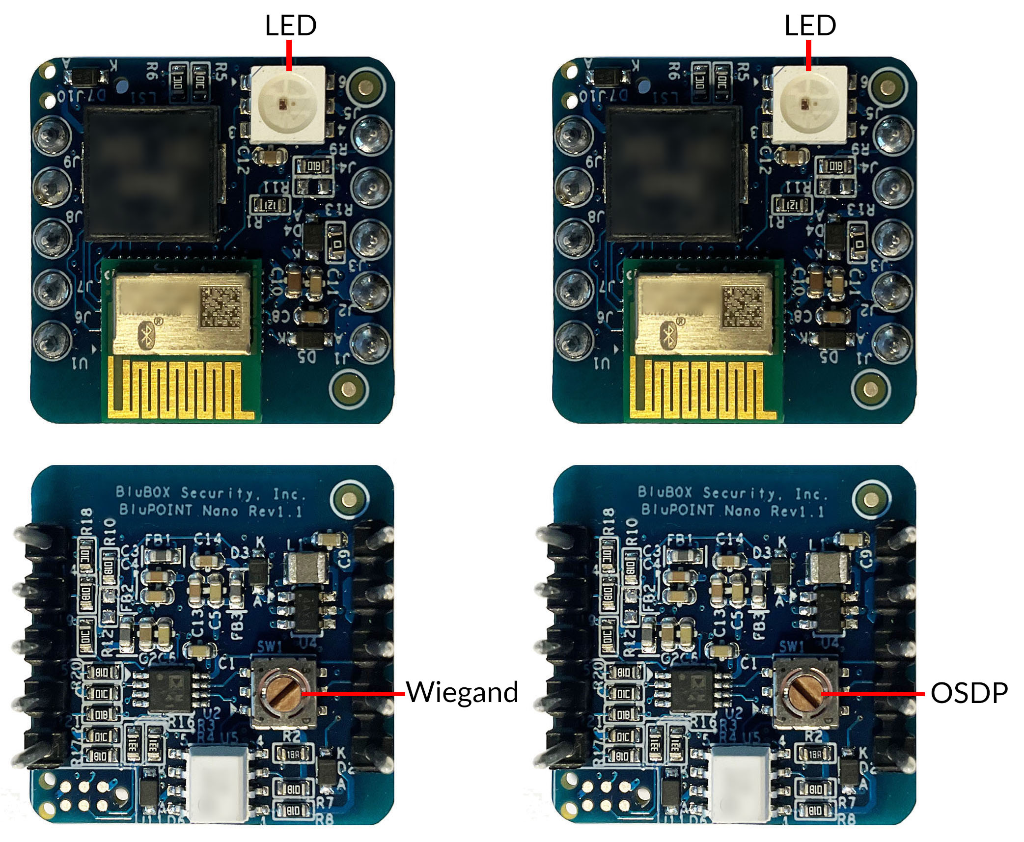 BluPOINT Nano Wiegand OSPD