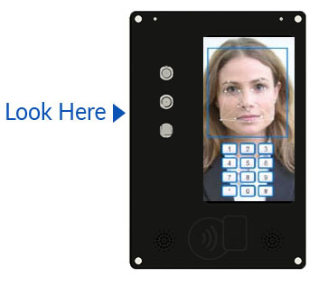 Look Here PR1 Recovered