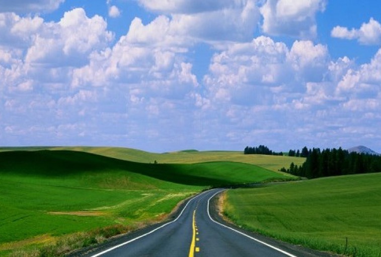 Path Forward