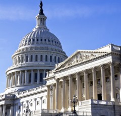 shutterstock 104502059 239x230